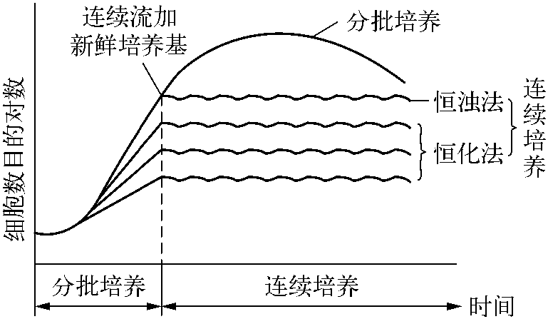 二、安來(lái)霉素發(fā)酵培養(yǎng)方法